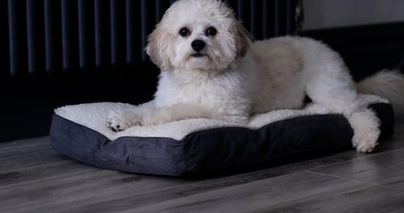 Erris Coast Hotel | Mayo, F26H6C2 | We are a pet Friendly Hotel 