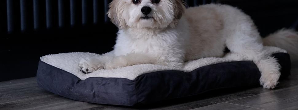 Erris Coast Hotel | Mayo, F26H6C2 | We are a pet Friendly Hotel 