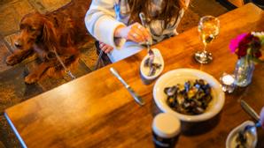 Erris Coast Hotel | Mayo, F26H6C2 | Photo Gallery - 21